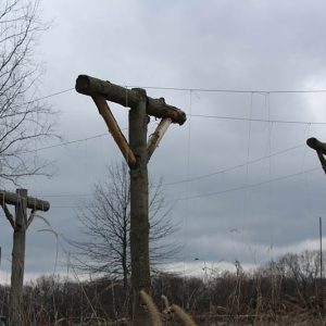 3 Cross Vegetable Garden