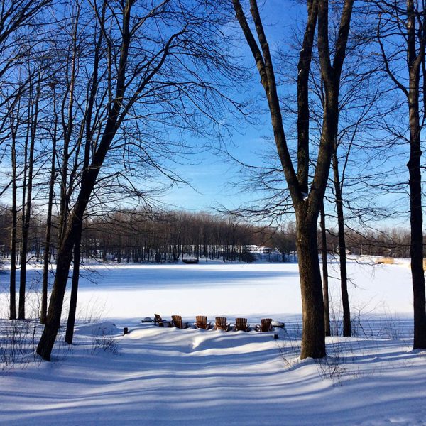 Winter On the Lake