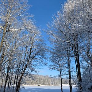 Winter Bright Sky