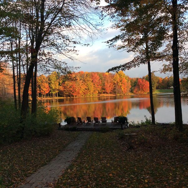 Fall Treeline