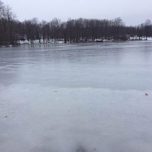 Frozen pond